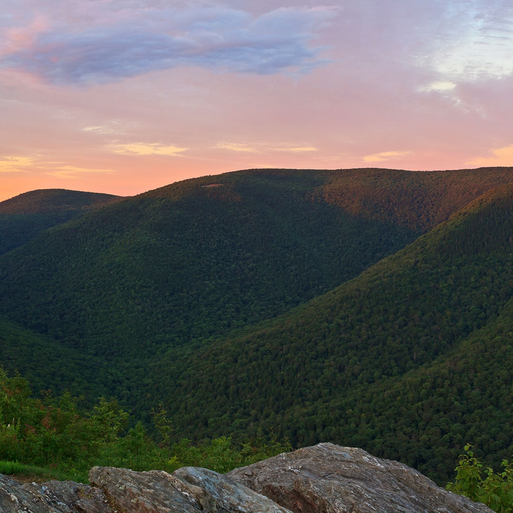 the view from on top of mount greylock. a mountain stretches out across the screen, fully covered in green trees. the slope is gradual and has some gentle peaks. there is a a soft sunset in the background